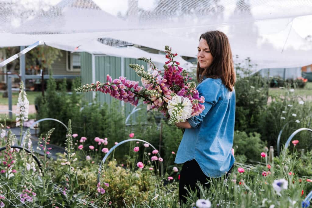 Woman holding an armload of fresh local flowers in Wagga Wagga flower farm.