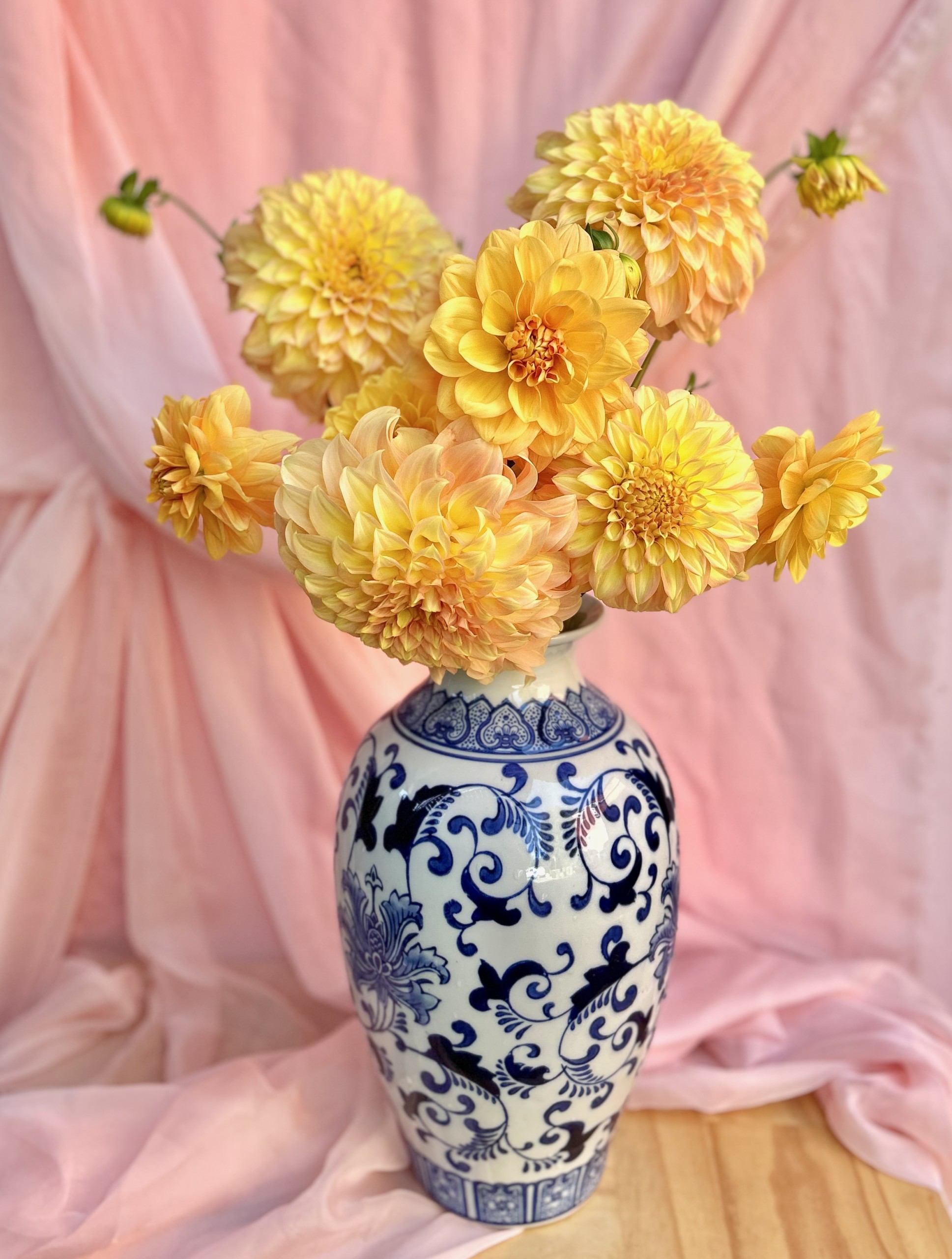 A vase of beautiful yellow dahlias. Locally picked in Wagga Wagga